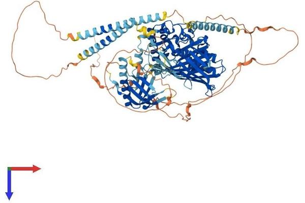 OSBPL3 Protein (AA 1-855) (His tag)