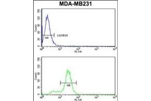 KRT14 Antibody (Center) (ABIN390669 and ABIN2840963) flow cytometry analysis of MDA-M cells (bottom histogram) compared to a negative control cell (top histogram). (KRT14 Antikörper  (AA 276-303))