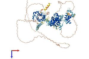 BEND3 Protein (AA 1-828) (His tag)