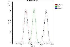Flow Cytometry analysis of HepG2 cells using anti-Hsp105 antibody (ABIN5693036). (HSPH1 Antikörper  (AA 653-858))