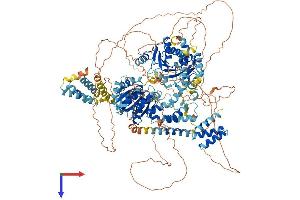 ERCC6L Protein (AA 1-1240) (His tag)