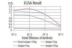 Black line: Control Antigen (100 ng),Purple line: Antigen (10 ng), Blue line: Antigen (50 ng), Red line:Antigen (100 ng) (ATG7 Antikörper  (AA 558-703))