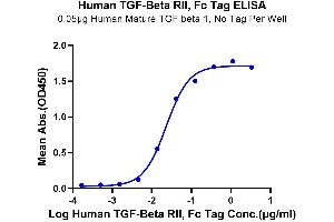 Immobilized Human Mature TGF beta 1 at 0. (TGFBR2 Protein (Fc Tag))