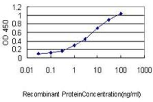 ELISA image for anti-Meis Homeobox 2 (MEIS2) (AA 1-382) antibody (ABIN598810) (MEIS2 Antikörper  (AA 1-382))