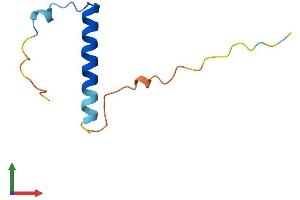 AlphaFold protein structure predicition of Mouse Recombinant Nrgn Protein, UniprotID P60761 (Neurogranin Protein (NRGN) (AA 1-78) (Fc Tag))