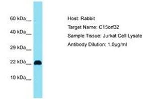 Image no. 1 for anti-Chromosome 15 Open Reading Frame 32 (C15ORF32) (AA 28-77) antibody (ABIN6750761) (C15ORF32 Antikörper  (AA 28-77))