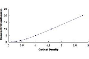 Typical standard curve (MYH4 ELISA Kit)