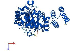 DUS4L Protein (AA 1-317) (His tag)