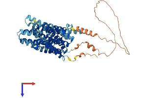 SLC16A4 Protein (AA 1-500) (His tag)