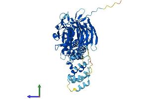 Protein Structure (PS) image for Kelch-Like 23 (KLHL23) (AA 1-558) protein (His tag) (ABIN7557917)