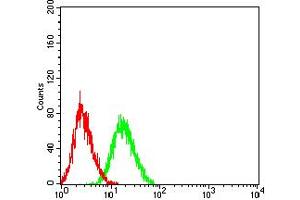 Flow cytometric analysis of HL-60 cells using TNFRSF6B mouse mAb (green) and negative control (red). (TNFRSF6B Antikörper  (AA 24-92))