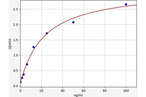 Vitronectin ELISA Kit