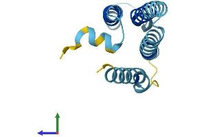 AlphaFold protein structure predicition of Human Recombinant TMEM203 Protein, UniprotID Q969S6 (TMEM203 Protein (AA 1-136) (His tag))