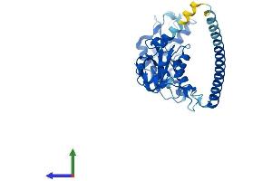 Protein Structure (PS) image for Ring Finger Protein 41 (RNF41) (AA 1-317) protein (His tag) (ABIN7564353)