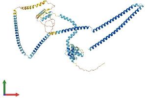 Protein Structure (PS) image for Coiled-Coil Domain Containing 93 (CCDC93) (AA 1-631) protein (His tag) (ABIN7553257)
