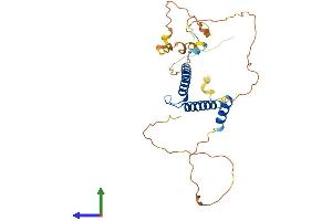 Protein Structure (PS) image for Myogenic Differentiation 1 (MYOD1) (AA 1-320) protein (His tag) (ABIN7549664)