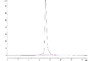 Size-exclusion chromatography-High Pressure Liquid Chromatography (SEC-HPLC) image for Oncostatin M Receptor (OSMR) (AA 24-737) protein (His tag) (ABIN7275385)