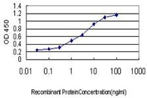 Detection limit for recombinant GST tagged PITX2 is approximately 0. (PITX2 Antikörper  (AA 1-324))