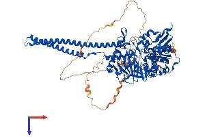 LSD1 Protein (AA 1-852) (His tag)