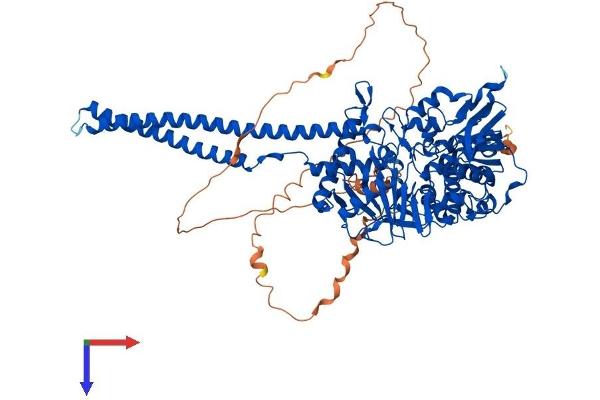 LSD1 Protein (AA 1-852) (His tag)