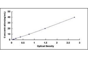 Typical standard curve (O3FAR1 ELISA Kit)