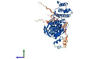Protein Structure (PS) image for BTB (POZ) Domain Containing 3 (BTBD3) (AA 1-530) protein (His tag) (ABIN7556524)