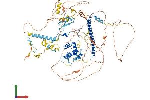 Protein Structure (PS) image for Enhancer of Polycomb Homolog 1 (EPC1) (AA 1-836) protein (His tag) (ABIN7553844)
