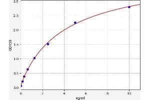 Anterior Gradient Homolog 2 (Xenopus Laevis) (AGR2) ELISA Kit