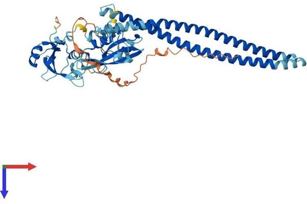 PIK3R3 Protein (AA 1-461) (His tag)