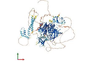 Protein Structure (PS) image for Inositol Polyphosphate-5-Phosphatase, 145kDa (INPP5D) (AA 1-1191) protein (His tag) (ABIN7565059)