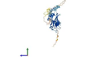 Protein Structure (PS) image for TNF Receptor-Associated Factor 1 (TRAF1) (AA 1-416) protein (His tag) (ABIN7544552)