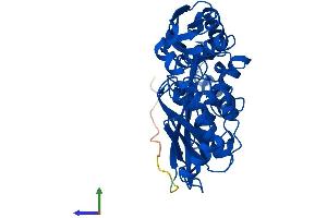 Protein Structure (PS) image for Methionine Adenosyltransferase I, alpha (MAT1A) (AA 1-396) protein (His tag) (ABIN7560073)