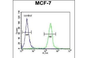 FA20A Antibody (N-term) (ABIN651160 and ABIN2840105) flow cytometric analysis of MCF-7 cells (right histogram) compared to a negative control cell (left histogram).