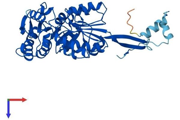 ALDH3B2 Protein (AA 1-385) (His tag)