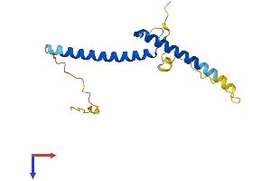 ATOH7 Protein (AA 1-149) (His tag)