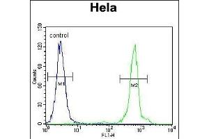 Flow Cytometry (FACS) image for anti-Ubiquinol-Cytochrome C Reductase, Rieske Iron-Sulfur Polypeptide 1 (UQCRFS1) (AA 181-209), (C-Term) antibody (ABIN655606)