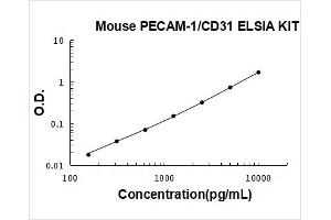 Mouse PECAM-1/CD31 PicoKine ELISA Kit standard curve