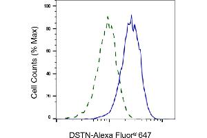 Validation of DSTN knockdown using flow cytometry.
