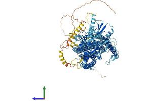 AlphaFold protein structure predicition of Human Recombinant ANO4 Protein, UniprotID Q32M45