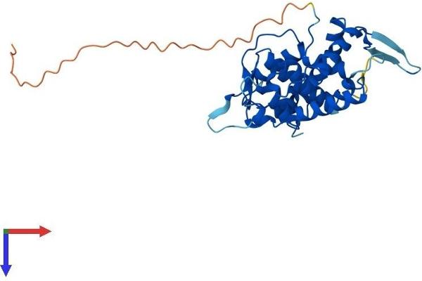 GOLPH3L Protein (AA 1-285) (His tag)