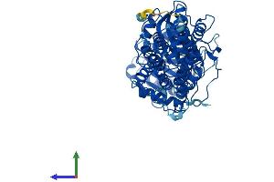 Protein Structure (PS) image for Dihydroxyacetone Kinase 2 Homolog (DAK) (AA 1-575) protein (His tag) (ABIN7544508)
