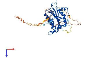 BRISC and BRCA1 A Complex Member 1 (BABAM1) (AA 1-329) protein (His tag)
