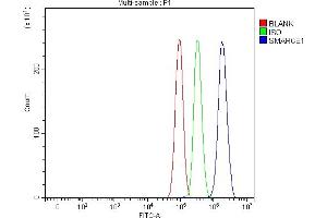 Flow Cytometry analysis of PC-3 cells using anti-BAF57/SMARCE1 antibody (ABIN7600326).