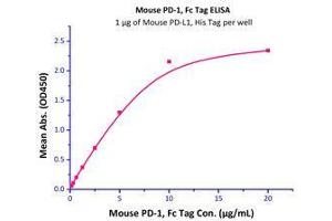 Immobilized Mouse PD-L1, His Tag (Cat# PD1-M5220) at 10 μg/mL (100 μl/well) can bind Mouse PD-1, Fc Tag (Cat# PD1-M5259) with a linear range of 0. (PD-L1 Protein (AA 19-238) (His tag))