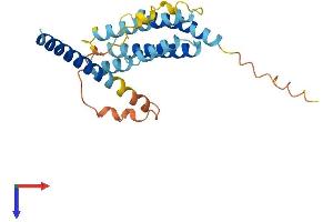 TMEM98 Protein (AA 1-226) (His tag)