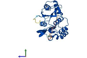 Protein Structure (PS) image for ATP Binding Domain 4 (ATPBD4) (AA 1-267) protein (His tag) (ABIN7547189)