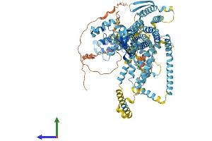 Protein Structure (PS) image for Wolfram Syndrome 1 (WFS1) (AA 1-890) protein (His tag) (ABIN7556012)