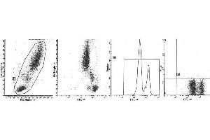 Image no. 1 for anti-Protein tyrosine Phosphatase, Receptor Type, C (PTPRC) antibody (ABIN1106386) (CD45 Antikörper)