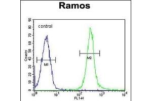 FA Antibody (N-term) (ABIN655330 and ABIN2844898) flow cytometric analysis of Ramos cells (right histogram) compared to a negative control cell (left histogram). (FAM133A Antikörper  (N-Term))