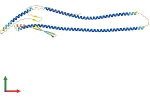 Protein Structure (PS) image for Keratin 20 (KRT20) (AA 1-424) protein (His tag) (ABIN7548723)
